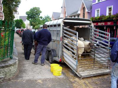 Market Day at kenmare