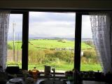 View from kitchen window - Aisling Padraig