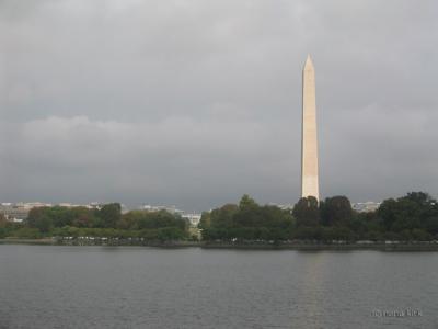 Tidal Basin