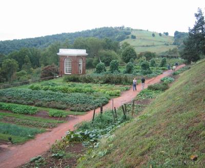Vegetable gardens at Monticello