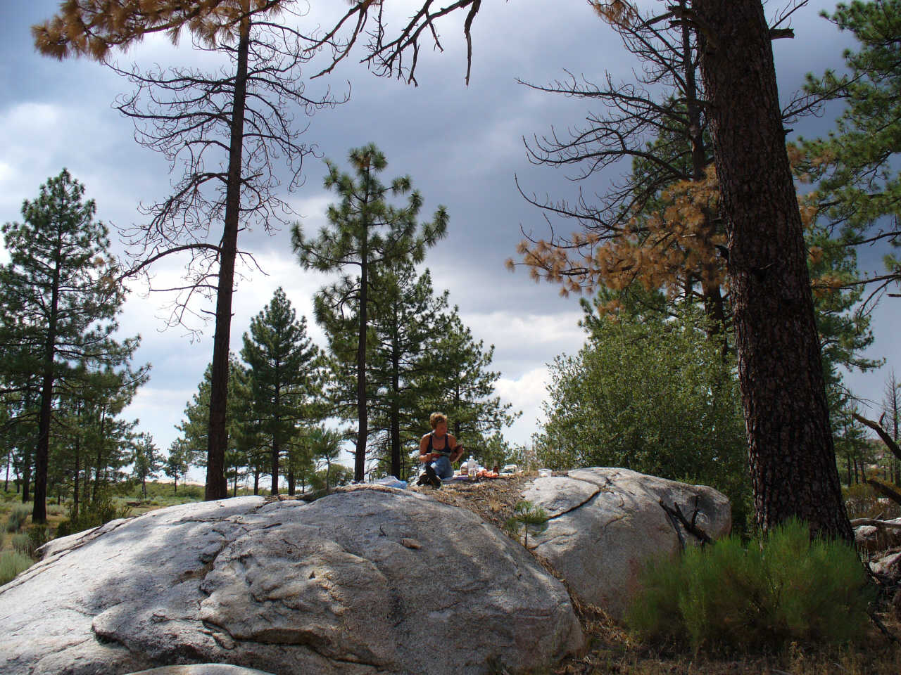 Picnic under stormy skies