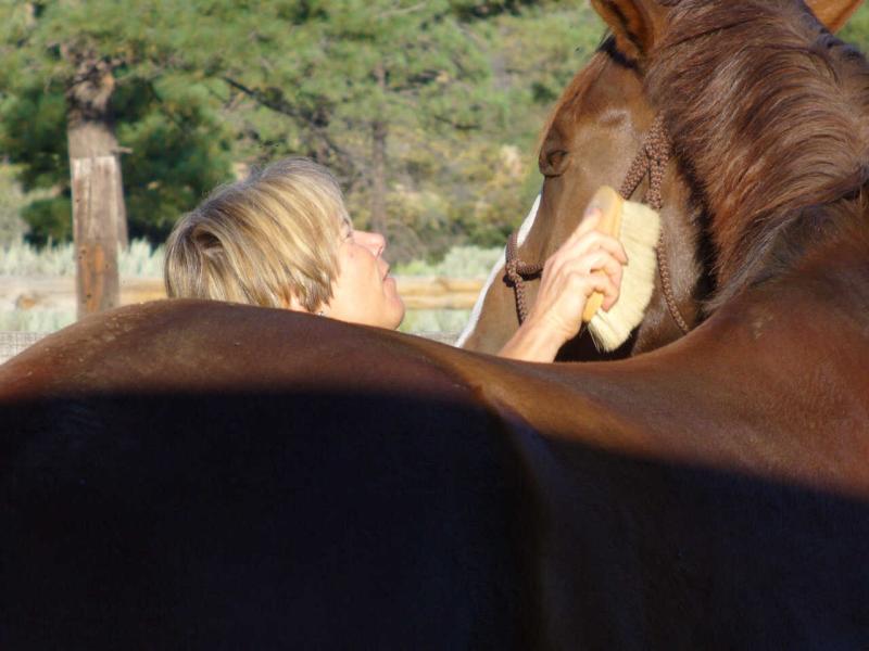 Early morning brushing