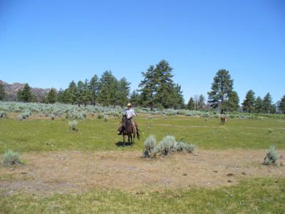 Mark riding across the green pasture