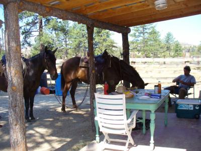 Hanging out on the porch of Werner's casita