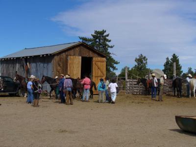 Group in front of barn