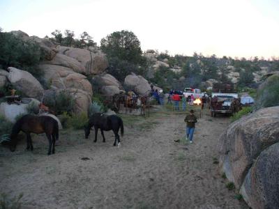Horses and camp