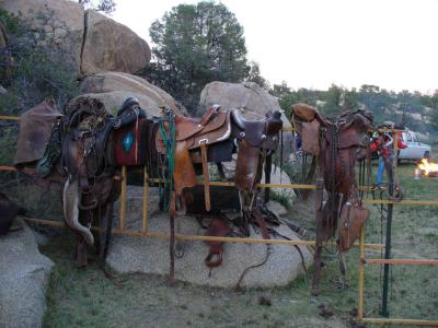 Different Saddle Styles