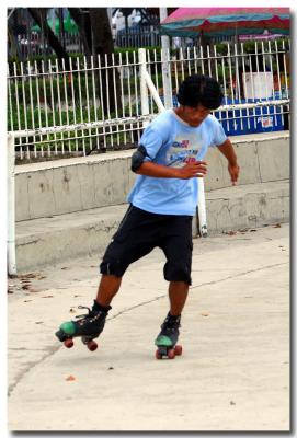 v3/06/296006/3/44454500.Cebu076copy.jpg