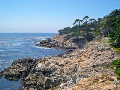 PCT-079(Courtesy of Qua Bao)