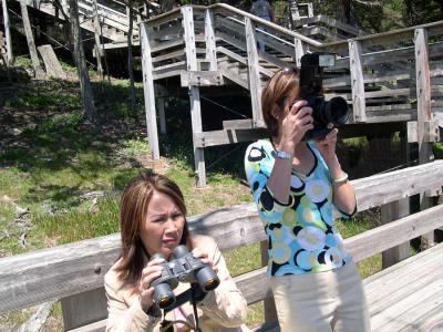 PCT-086(Courtesy of Qua Bao)