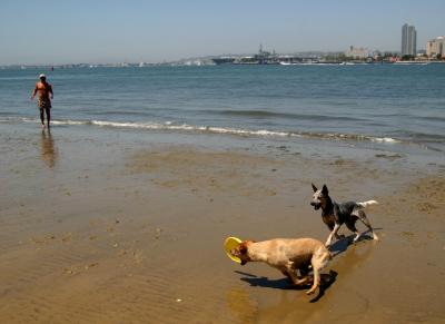 Black doggy-my role model