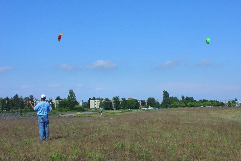 Kite flying at Steveson
