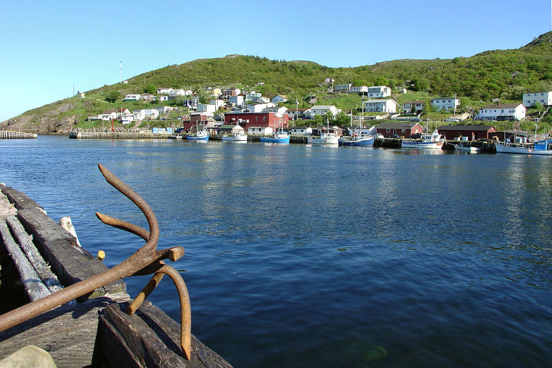 Petty Harbour 003