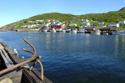 v3/06/371906/3/45293158.PettyHarbour003.jpg