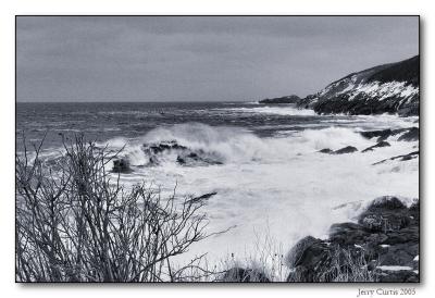 Ansel in Pouch Cove