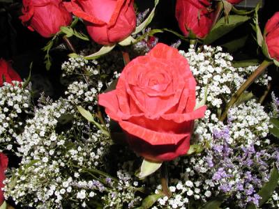 rose3.jpg
