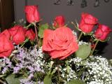 rose1.jpg