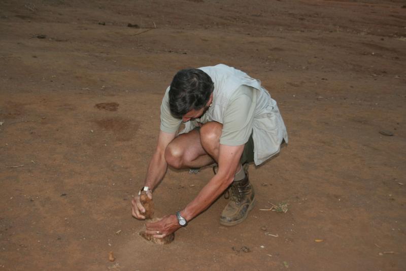 Jim breaks open a huge seed pod (that came out of some elie dung)