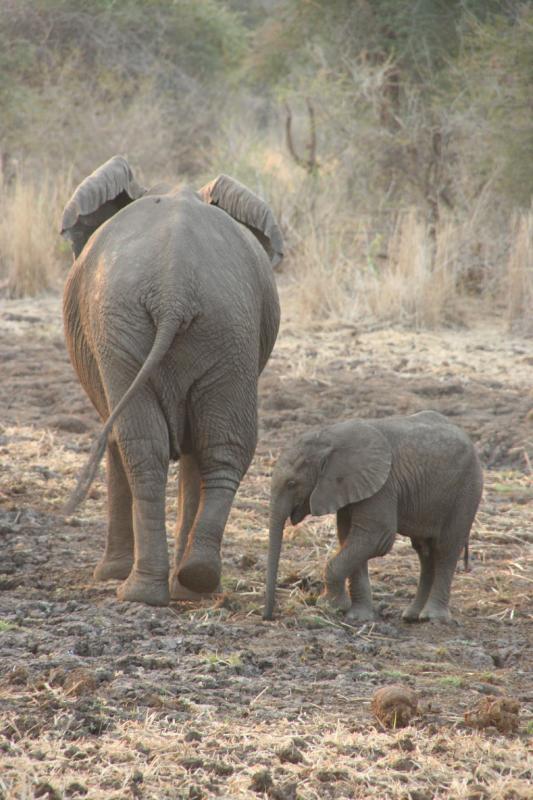 Mother and child