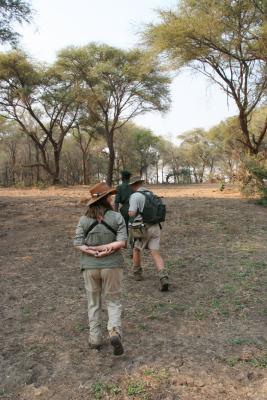 Out for a safari stroll