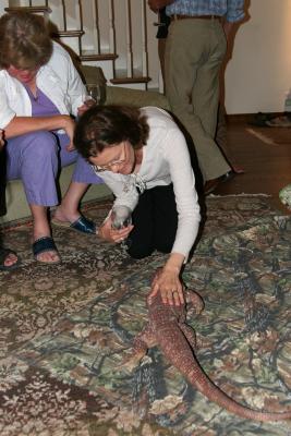 Debby and monitor lizard