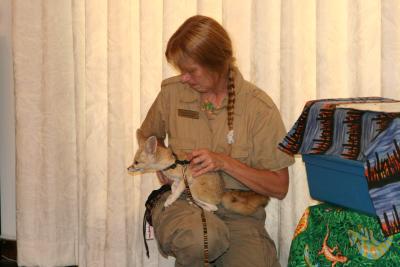 Fennec fox!