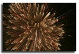 Knoxville Fireworks 2005