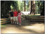 Yosemite - Mariposa Grove  - Giant Sequoias
