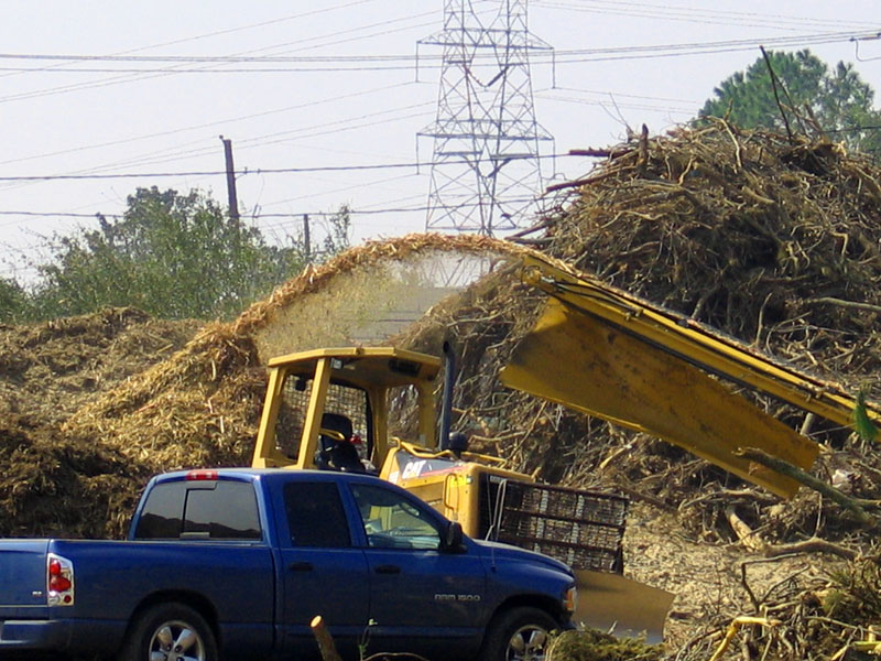 Hurricane Debris Turns to Mulch