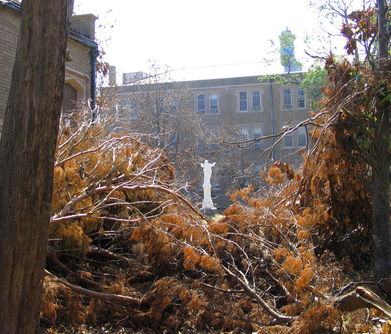 Sacred Heart Courtyard with Academy in background