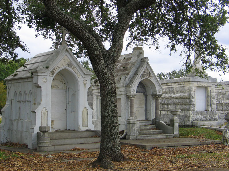 A young live oak graces these tombs