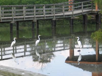 September 16_Hurricane Katrina aftermath