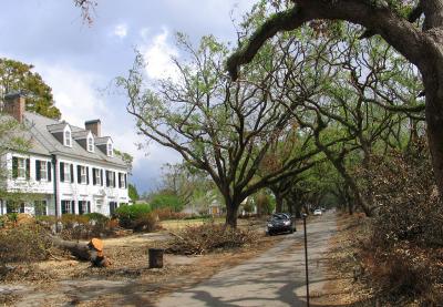 Metairie Club Gardens After Hurricane Katrina