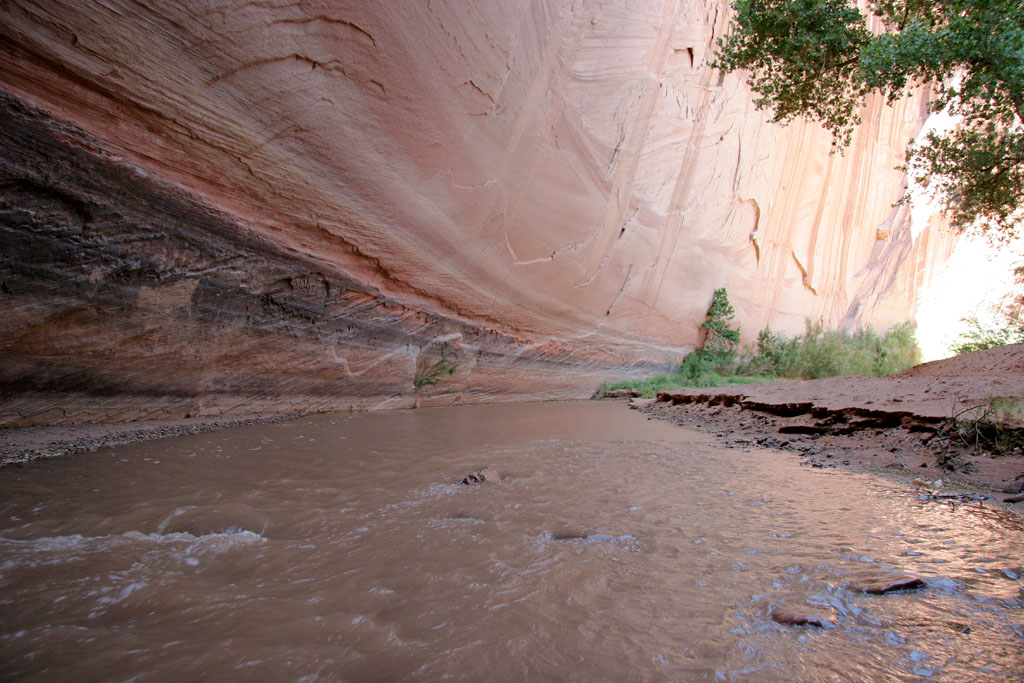 Shades of Paria Canyon