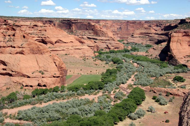 Junction Overlook, Confluence of Canyon de Chelly & Canyon del Muerto