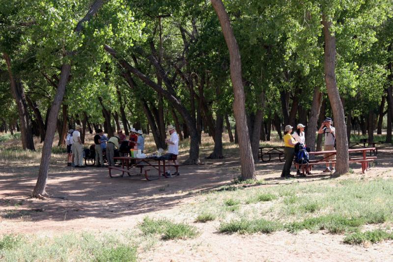 The Gang Getting Ready, Cottonwood CG