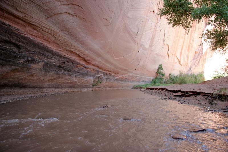Shades of Paria Canyon