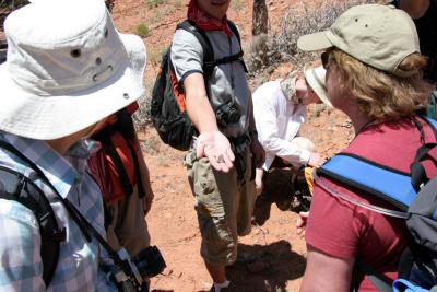 Our First Potsherd