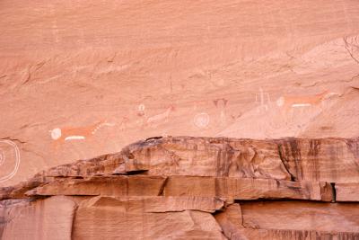 Antelope Were Abundant in the Plains SW of Canyon de Chelly, Until the Arrival of the Anglos, Antelope House Ruins