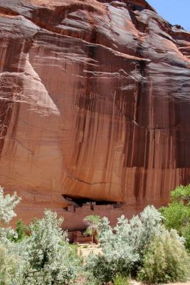 Tree Ring Dating Begin About 1050 AD White House Ruins, Canyon de Chelly