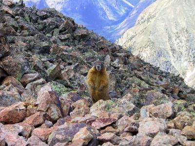 Fellow Summiteer on Sunshine