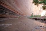 Shades of Paria Canyon