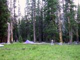 Second Camp, Along Big Blue Trail....Check Out The Mosquitoes!