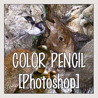 Color Pencil [Photoshop]