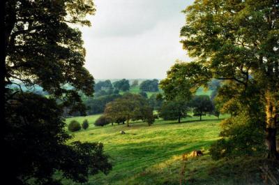 COUNTRY SIDE 204.jpg