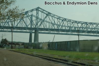 Bacchus & Endymion Dens