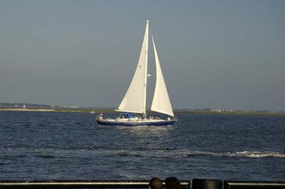 _DSC6649.jpg