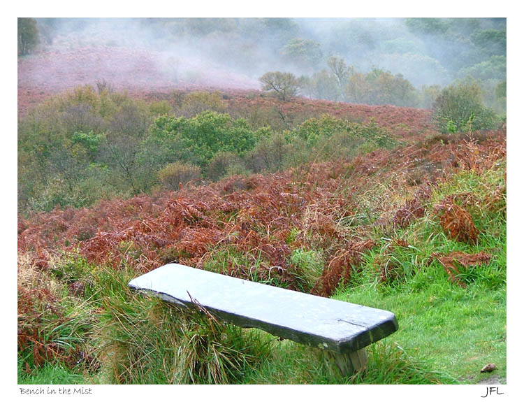 Bench in the Mist