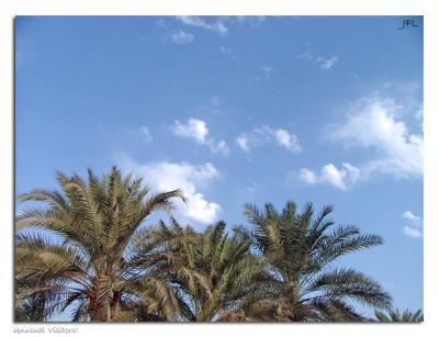 v3/06/567606/3/49495359.CloudVisitors.jpg