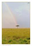 Rainbow across the savannah